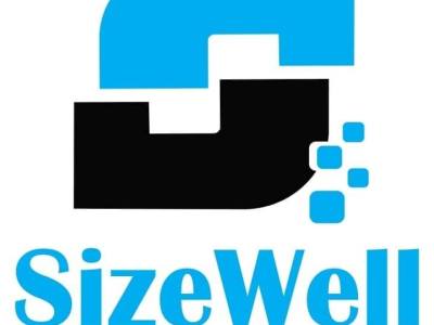 Sizewell Loans