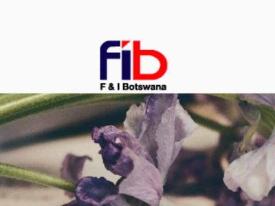 F&I Botswana
