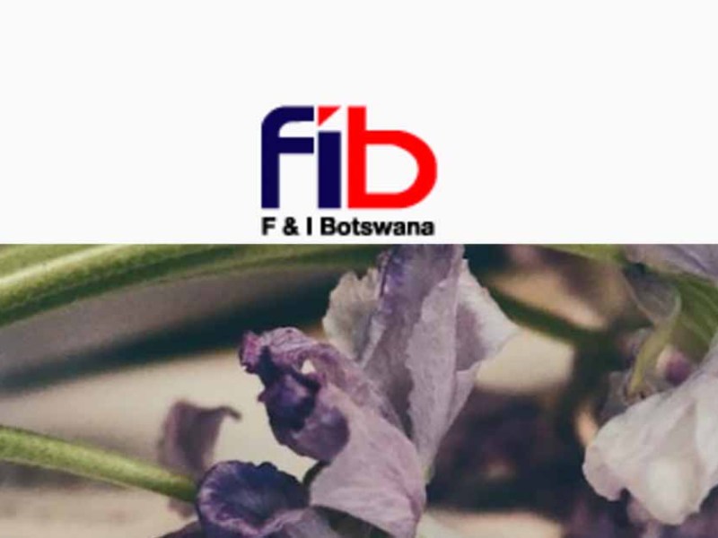 F&I Botswana
